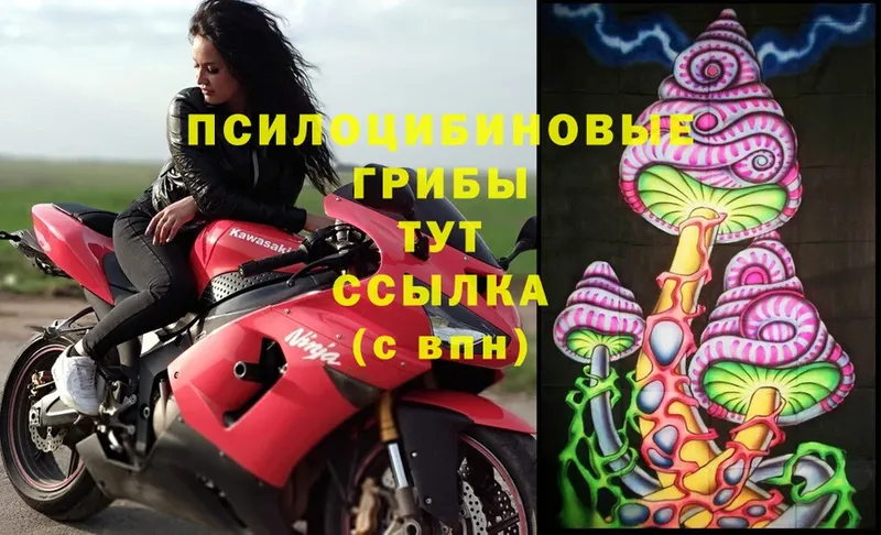 Галлюциногенные грибы MAGIC MUSHROOMS Батайск